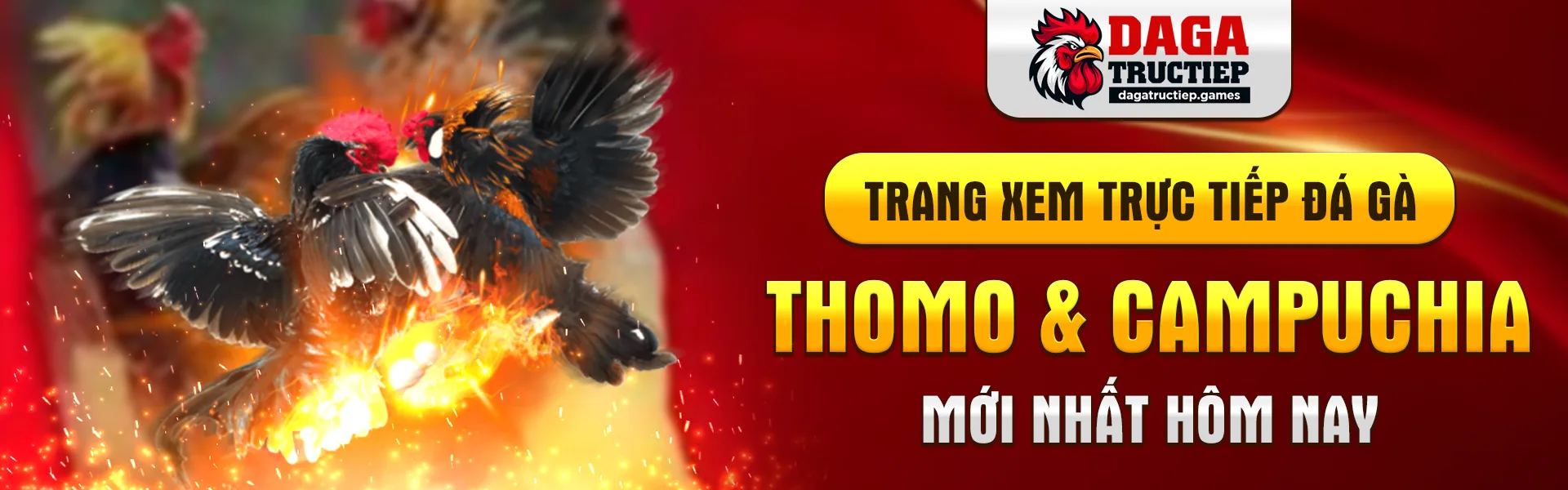 Banner trang xem đá gà trực tiếp mới nhất
