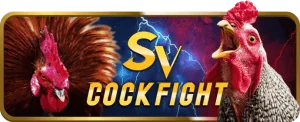 Cock fight đá gà trực tiếp