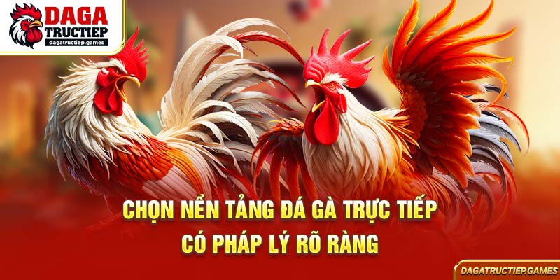 Chọn nền tảng đá gà trực tiếp có pháp lý rõ ràng