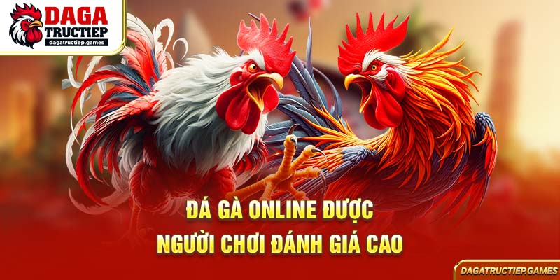 Đá gà online được người chơi đánh giá cao