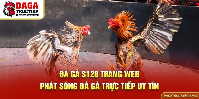 Đá gà S128 trang web phát sóng đá gà trực tiếp uy tín