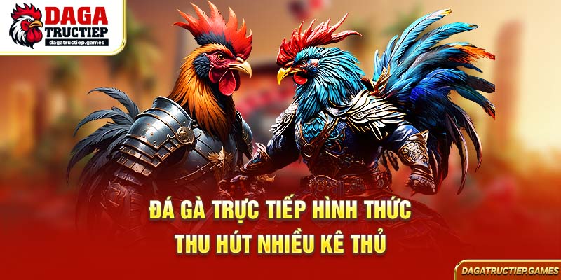 Đá gà trực tiếp hình thức thu hút nhiều kê thủ