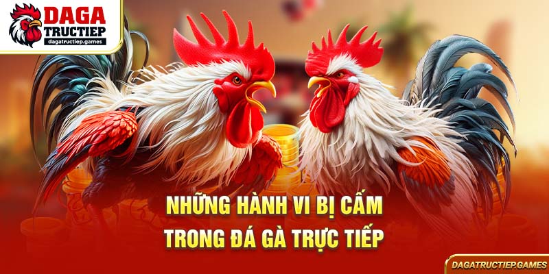 Những hành vi bị cấm trong đá gà trực tiếp