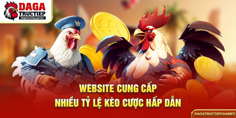 Website cung cấp nhiều tỷ lệ kèo cược hấp dẫn